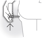 C0652305