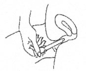 C0732803