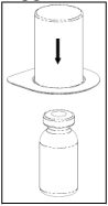C1004202