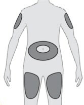 C1446603
