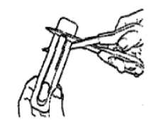 CACTILO01