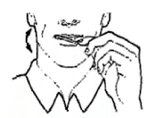 CACTILO02