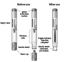 CACTPEN01