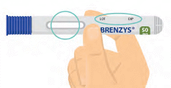 CBRENZY13