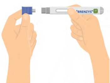 CBRENZY15