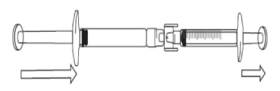 CCIPICA04