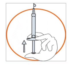 CCIPICA10