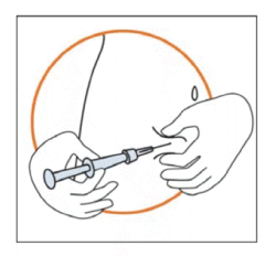 CCIPICA11