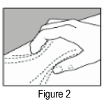 CCOPAXN02