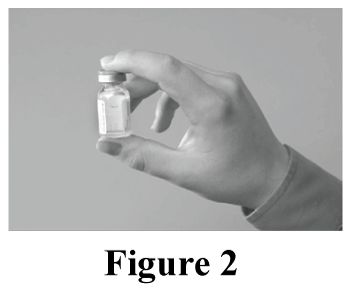 CHIZEAU02
