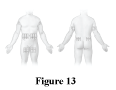 CHIZENT13