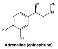 CSADRINJ.gif
