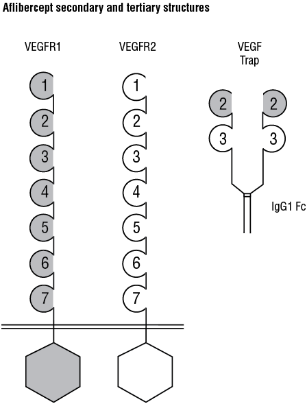 CSAFLI1A.gif