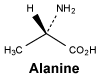 CSALANIN.gif