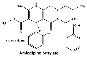CSAMLOBE.gif