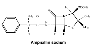 CSAMPSOD.gif