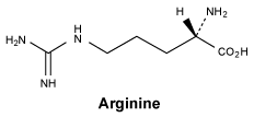 CSARGINN.gif