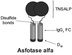 CSASFOTA.gif