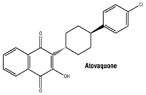 CSATOVAQ.gif