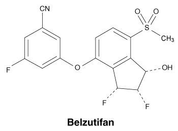 CSBELZUT.gif