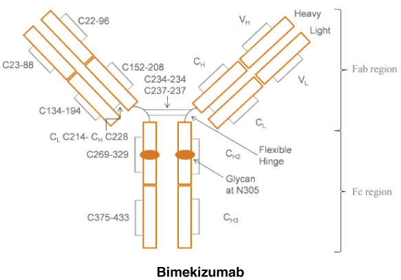CSBIMEKI.gif