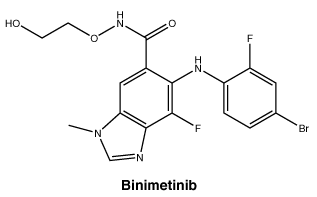 CSBINIME.gif