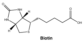 CSBIOTIN.gif