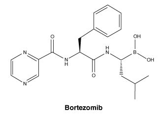 CSBORTEZ.gif
