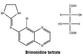 CSBRITAR.gif