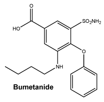CSBUMETA.gif