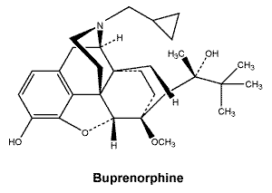 CSBUPNOR.gif