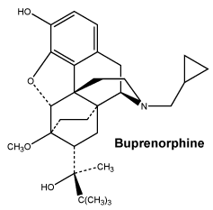 CSBUPREO.gif