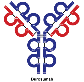 CSBUROSU.gif