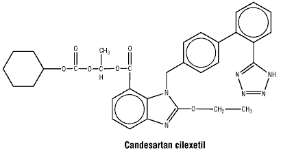 CSCANCIL.gif