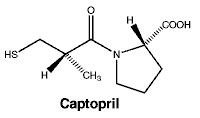 CSCAPTOP.gif