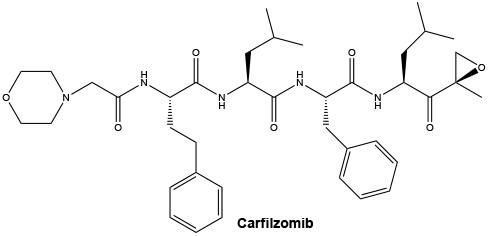 CSCARFIL.gif