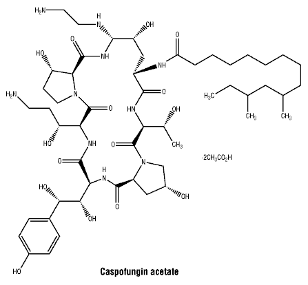 CSCASPOF.gif