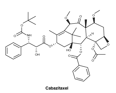 CSCBZITA.gif