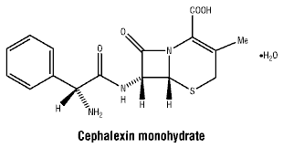 CSCEPMON.gif