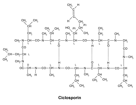 CSCICLOS.gif