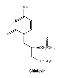 CSCIDOFO.gif