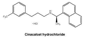 CSCINACA.gif