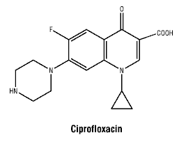 CSCIPROF.gif