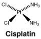 CSCISPLAT.gif