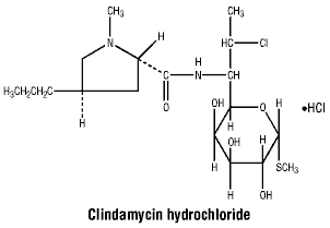 CSCLIHYD.gif
