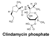 CSCLINDP.gif
