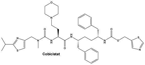 CSCOBICI.gif