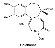 CSCOLCHI.gif