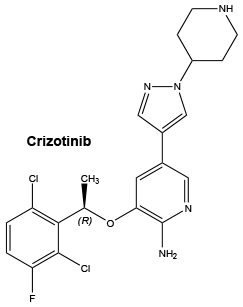 CSCRIZOT.gif