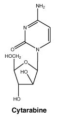 CSCYTARA.gif